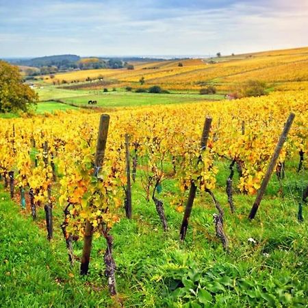 Appartement Cosy - Centre De Barr - Route Des Vins Luaran gambar