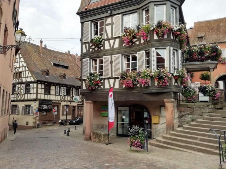 Appartement Cosy - Centre De Barr - Route Des Vins Luaran gambar